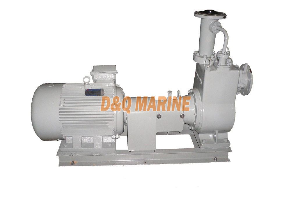 Marine Centrifugal Pump