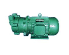 CSK Series Marine Water Circulation Vacuum Pump
